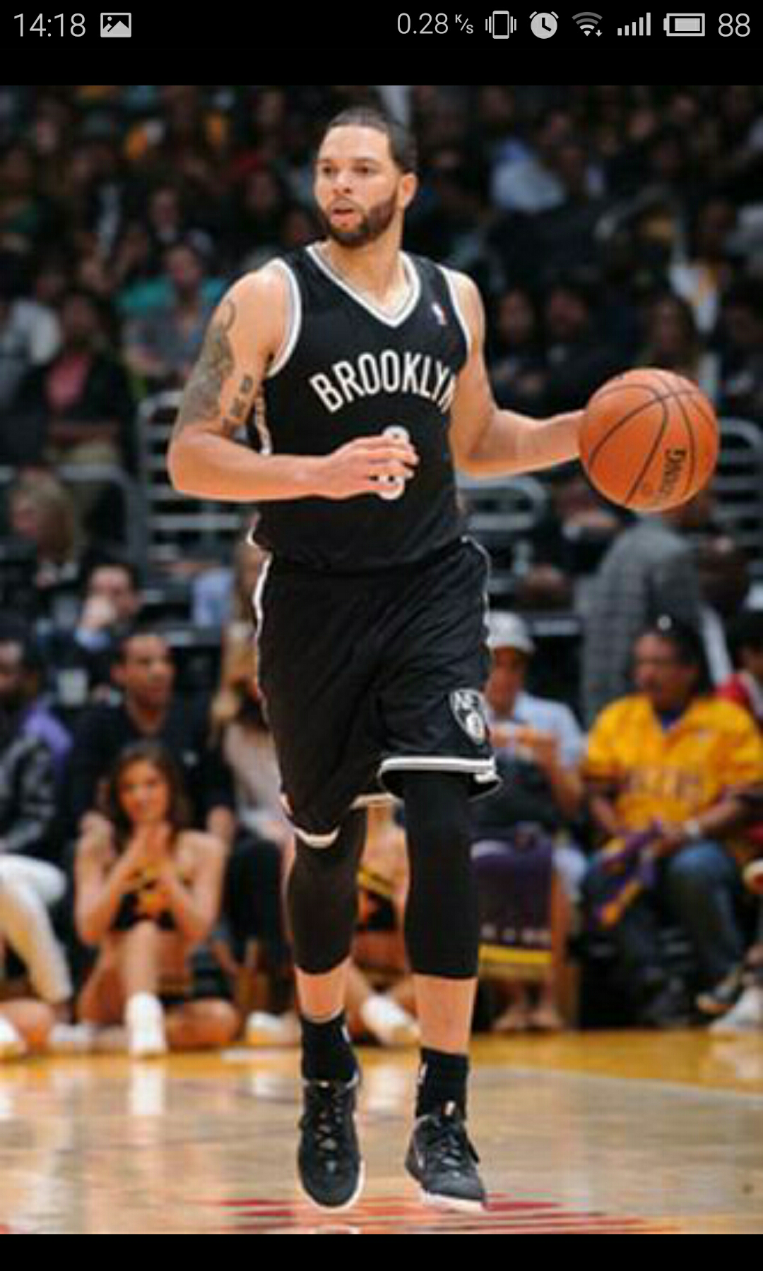 共同特点是 共同特点是