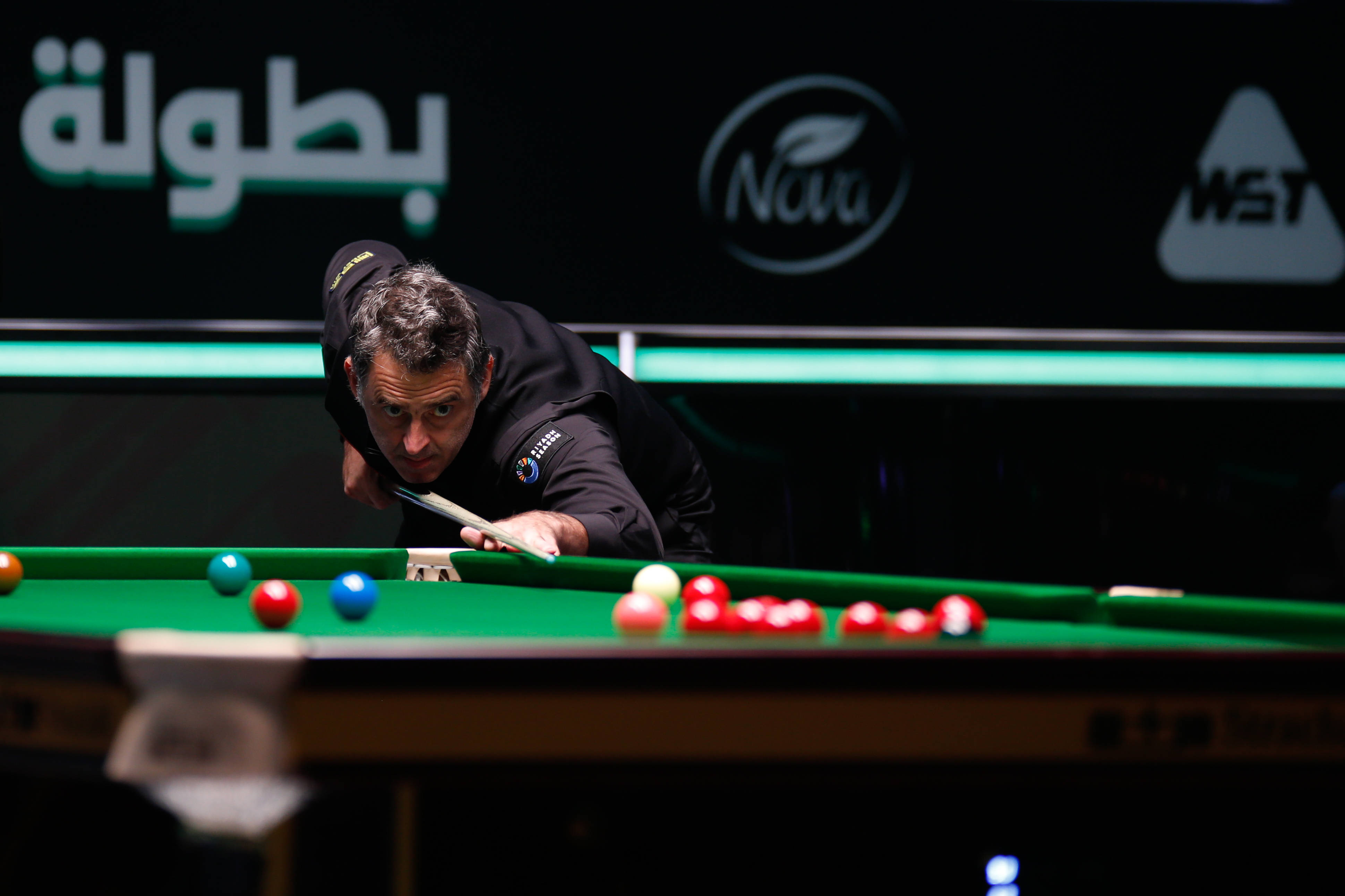 江苏肯帝亚 江苏肯帝亚