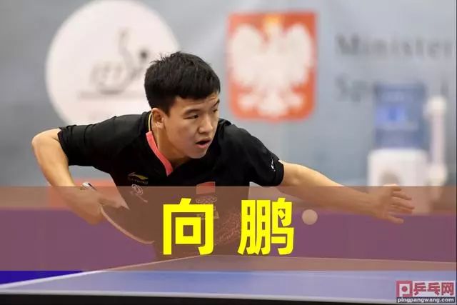 挑战与机遇 挑战与机遇