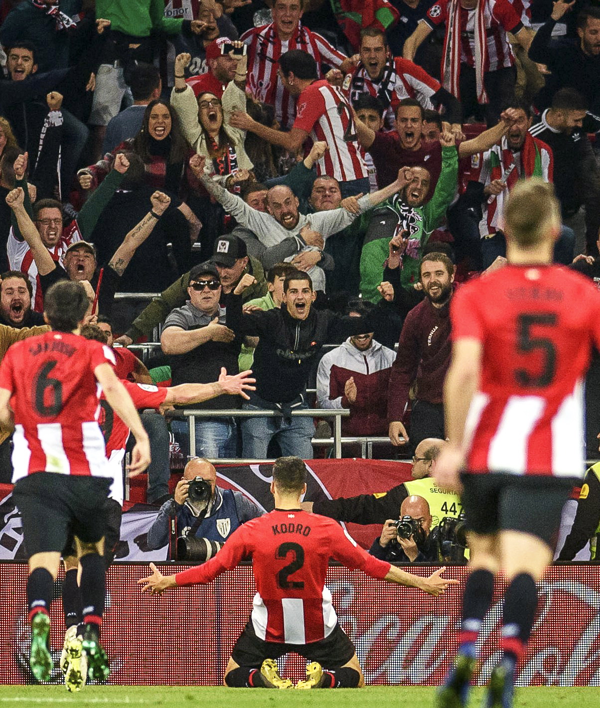 牛牛只看运 牛牛只看运